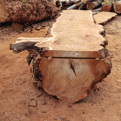 Mobile sawmilling service in Dorset and Hampshire.