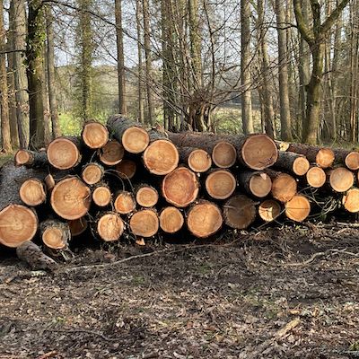 Site clearance contractors in Hampshire and Dorset.